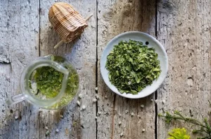 7 Awesome Health Benefits Of Buchu