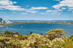 Swan River