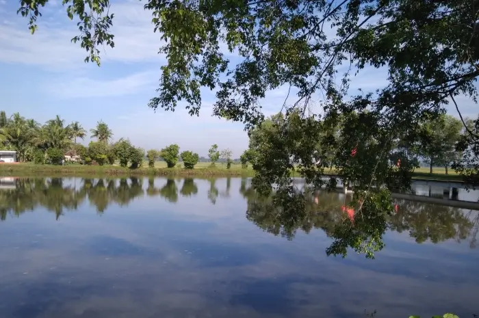 Kedungwringin Reservoir