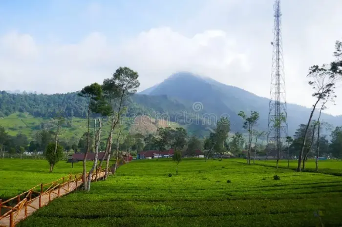 Tourist Destinations in Wonosobo That Are Suitable for an Adventurous Vacation