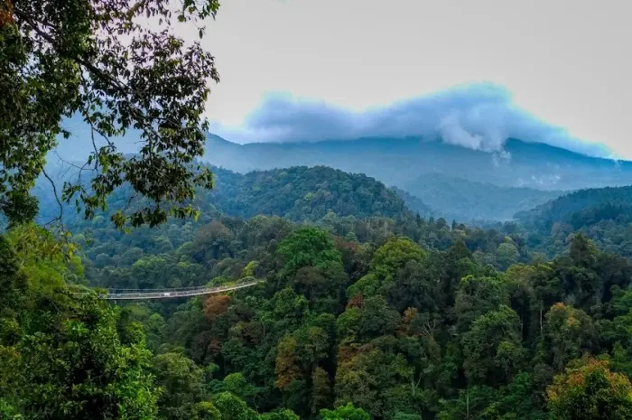 Location and How to Get to Mountain Lake Sukabumi